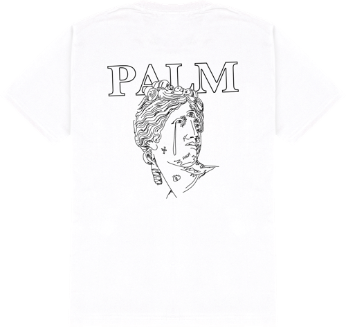 Palm Skateboarding White Greek Tee
